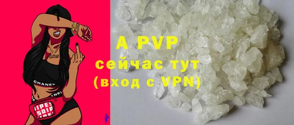 бошки Дмитриев