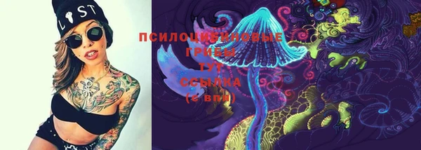 а пвп мука Гусиноозёрск