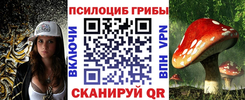 Купить закладки  Зеленоградск  Псилоцибиновые грибы GOLDEN TEACHER 